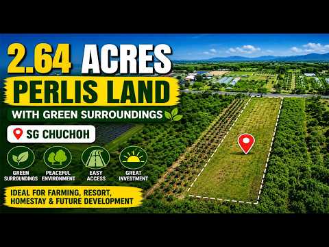 [Vacant Flat Land; Ideal for Development] Agricultural Land [3 mins to UniMAP Campus, 10 mins to Padang Besar Immigration & Customs (Malaysia–Thailand Border Hub)] video