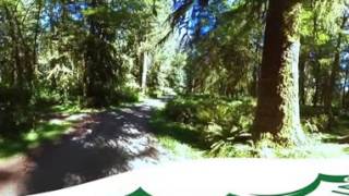 Cottonwood Campground Video