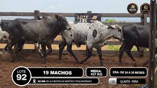 Vídeo LOTE 92