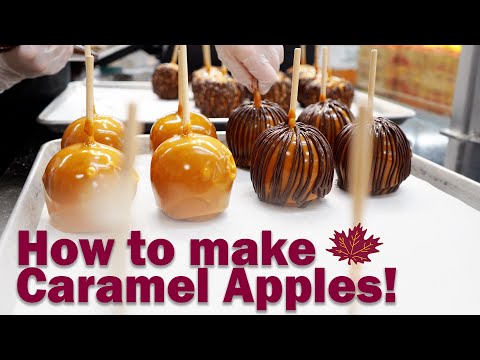 How to Make Caramel Apples: The Shady Maple Way!