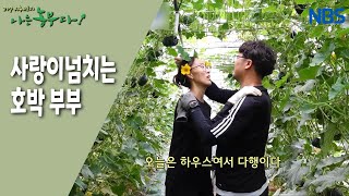 [호박 같은 내 사랑] 알콩달콩~! 나란히 농사를 짓고 있는 호박 부부