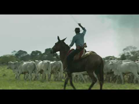My Mother is a Cow (Minha Mãe é uma Vaca) by Moara Passoni
