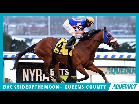 Backsideofthemoon - 2020 - The Queens County