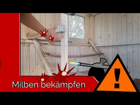 Die Rote Vogelmilbe bekämpfen...mit einfacher Methode | Alles zum Thema Hühnerhaltung