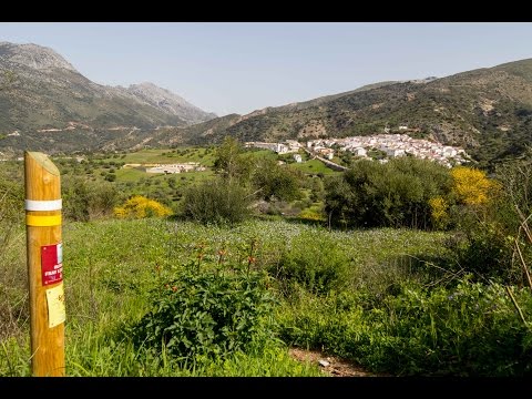 Ruta senderista de Fray Leopoldo: desde Jimera de Lbar a Alpandeire