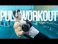 INSANE PULL WORKOUT | GENDER REVEAL!