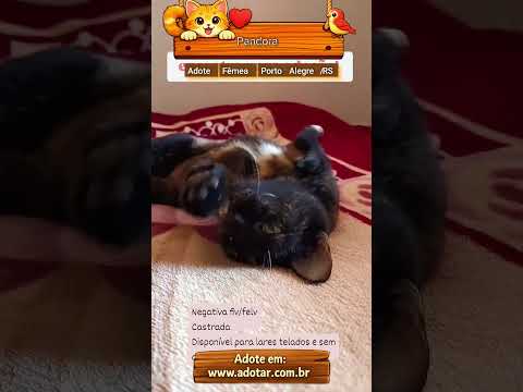 Vídeo de Pandora 