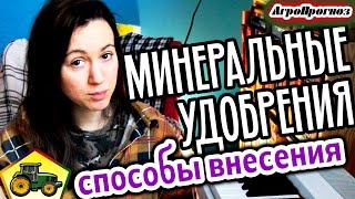 Ссылка