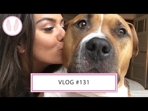 VLOG #131 ROCKS IS BACK!