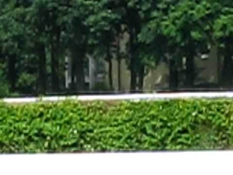 Zazou Oppenheim Union Rennen Köln 13.06.2010 .avi