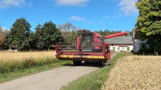 ماكينة حصادة دراسة Massey Ferguson 23 | صورة 4 - Agroline