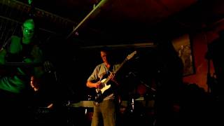 Sunflower Seeds - TV