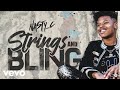 Nasty C Do U Digg Visualizer