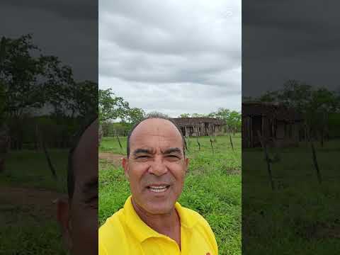 BR 324 Sentido Capim Grosso- Ba.