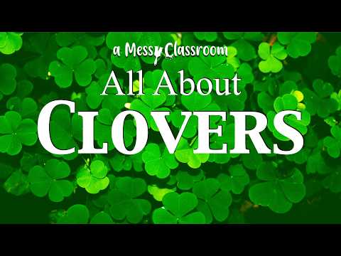 Bet You Don't Know This About Clovers | Unbelievable Clover Facts | All About Shamrocks | Plants