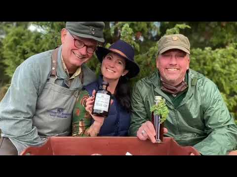 Der Wacholder und was man daraus machen kann