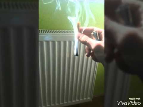 JKN X KATO - FUCK CHIVATOS (MGLPS $QUAD)