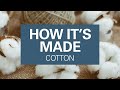How Cotton Is Grown And Harvested Where Cotton Fabric Comes From