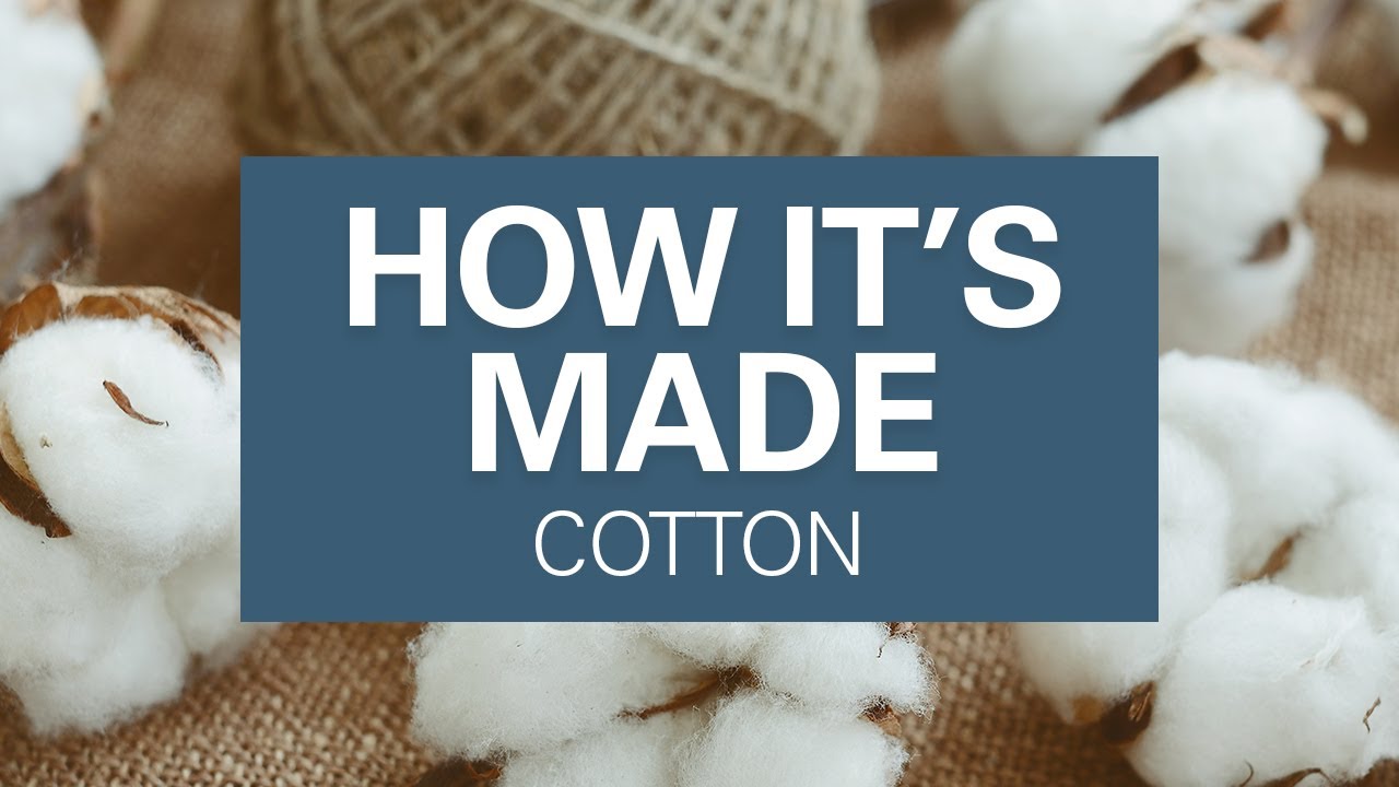 How Cotton Is Grown and Harvested | Where Cotton Fabric Comes From