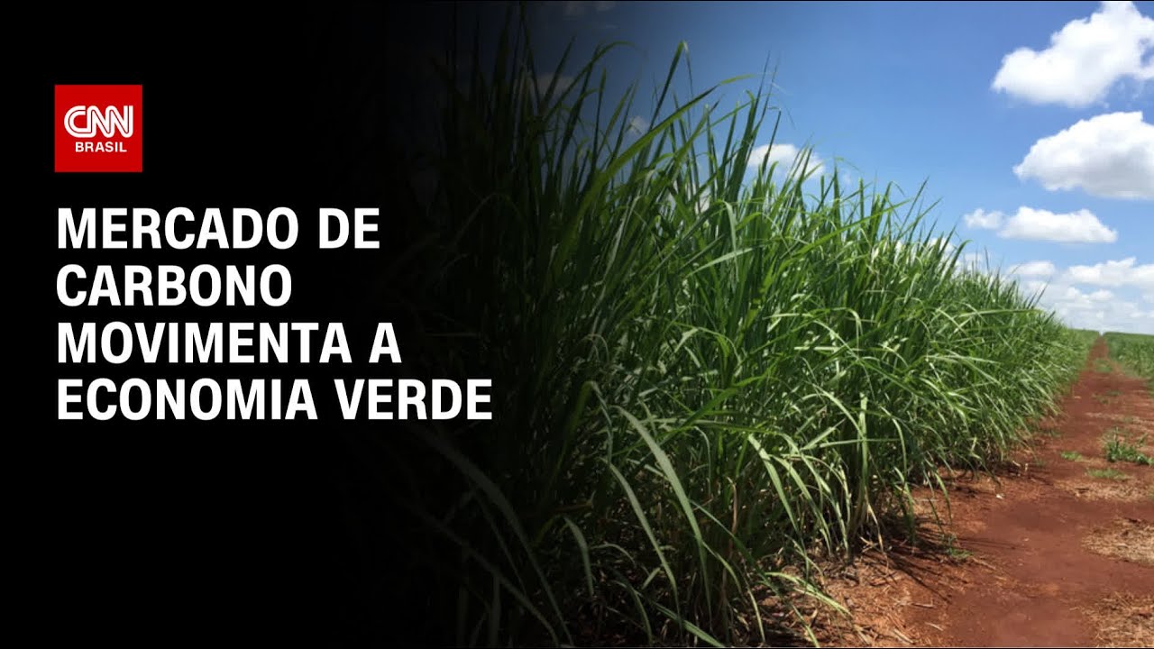 Mercado de carbono movimenta a economia verde | CNN PRIME TIME