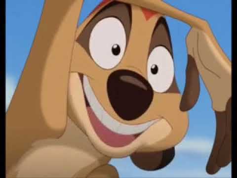 Lion king - oson , szimat , fél