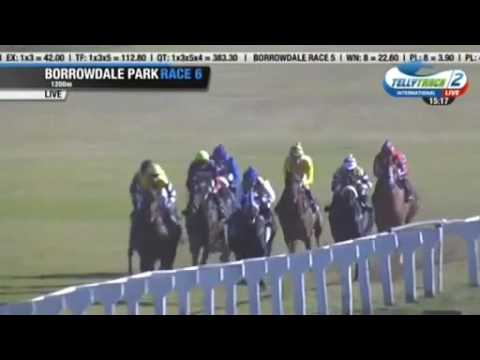 2016.06.19 Champion Juvenile Stakes (ZIM) - Wylde Style