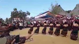 Download lagu Tarian Adat Mure Nggela - Ende - Flores - NTT mp3 Download lagu Tarian Adat Mure Nggela - Ende - Flores - NTT mp3