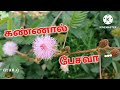 Kannal Pesava Move Songs