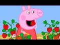 Peppa Pig Official Channel Season 8 Compilation 47 Kids Video