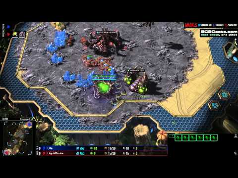 Snute v Life   ZvZ G1