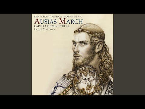 Correno multi cani ad una cazia