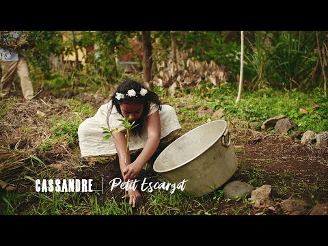 CASSANDRE - Petit Escargot (Clip Officiel) 4K