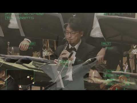 Ace Combat The Symphony 25th Anniversary - Sitting Duck and Invincible Fleet