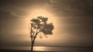 Legião Urbana - O Livro dos Dias 1996