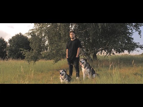 Moliz - Hennessy (Official Video)