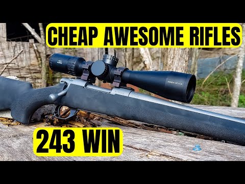 Howa 1500 in .243 Winchester