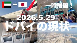 【ドバイ現状:5/29】中東情勢から3ヶ月…ついに日本へ帰国!6連休中のドバイ国際空港の状況は?エミレーツ羽田便は空いてる?日本人乗客は?機内の最新のエンタメやサービスは?