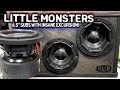 Pushing 6 5 Subs To The Limit Unbelievable Excursion On These Little Monsters