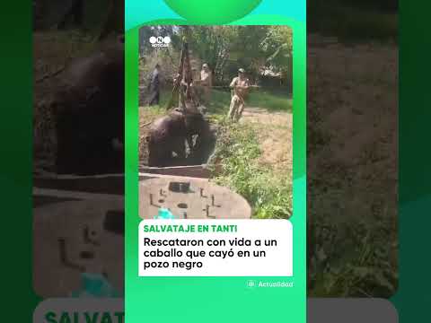 RESCATE EXITOSO en TANTI🏇🏻