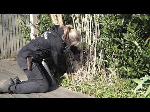 BESKÄR PRYDNADSGRÄS med trädgårdsmästare Maria