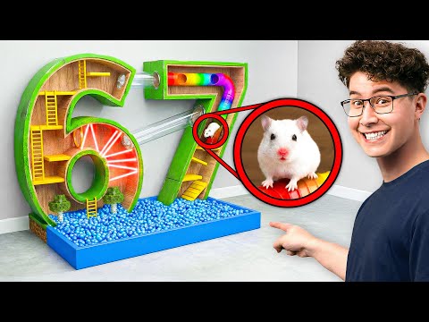 Extreme Hamster Maze Challenge!