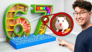 Extreme Hamster Maze Challenge!