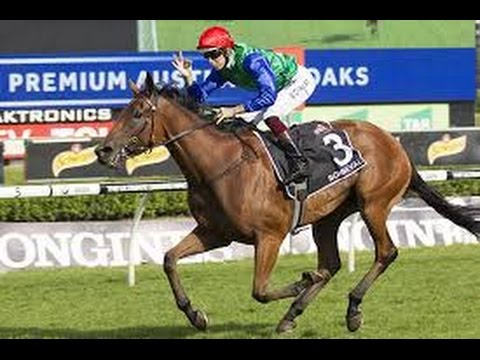 2017  ATC Australasian Oaks