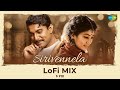 Sirivennela LoFi Shyam Singha Roy Nani Sai Pallavi Mickey J Meyer S VIII