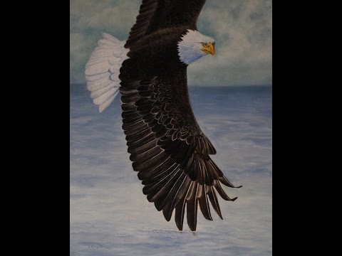 How to Paint a Flying Eagle in Oils or Acrylic