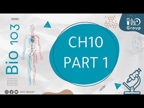 BT103 Lecture 15 Ch10 part1 || Dr Rami Alkhatib