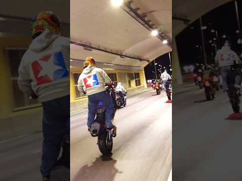 Infamous Team Madcap Stockholm 2024