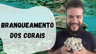 O que é Branqueamento dos corais? Aquecimento global, acidificação oceânica e muito mais!