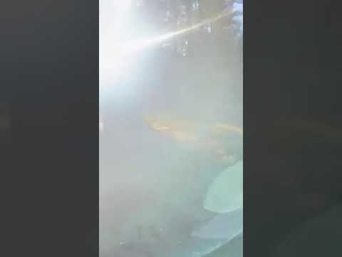 drive into picnic area