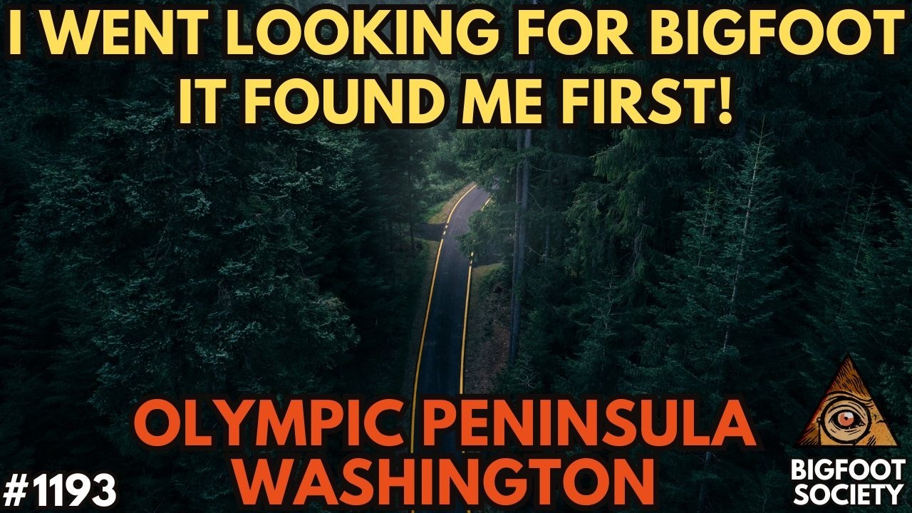 He Saw a Gray Bigfoot in Ocean Shores—Then It Got Closer